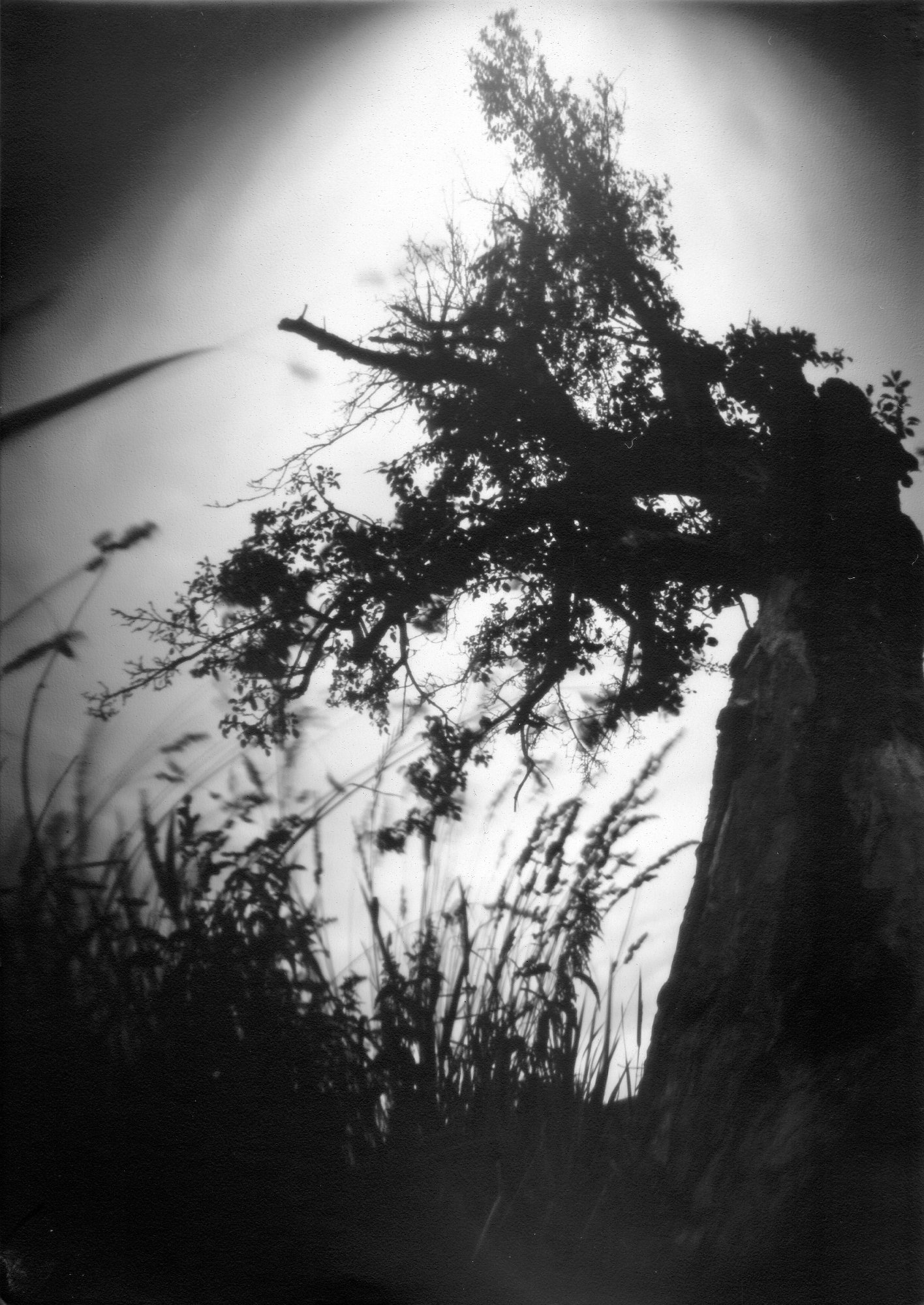 Fotografia otworkowa – Landscape, Obscura