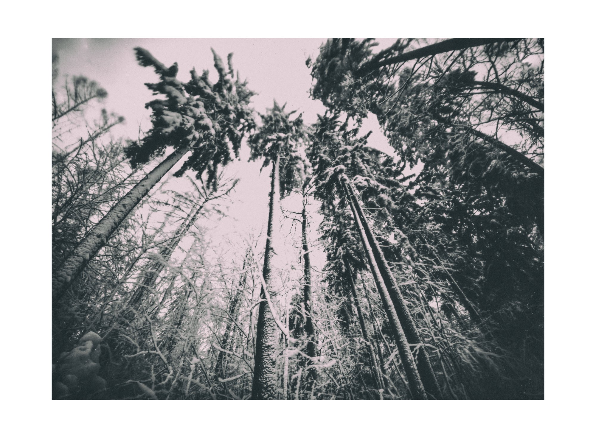 Fotografia otworkowa – Landscape, Obscura