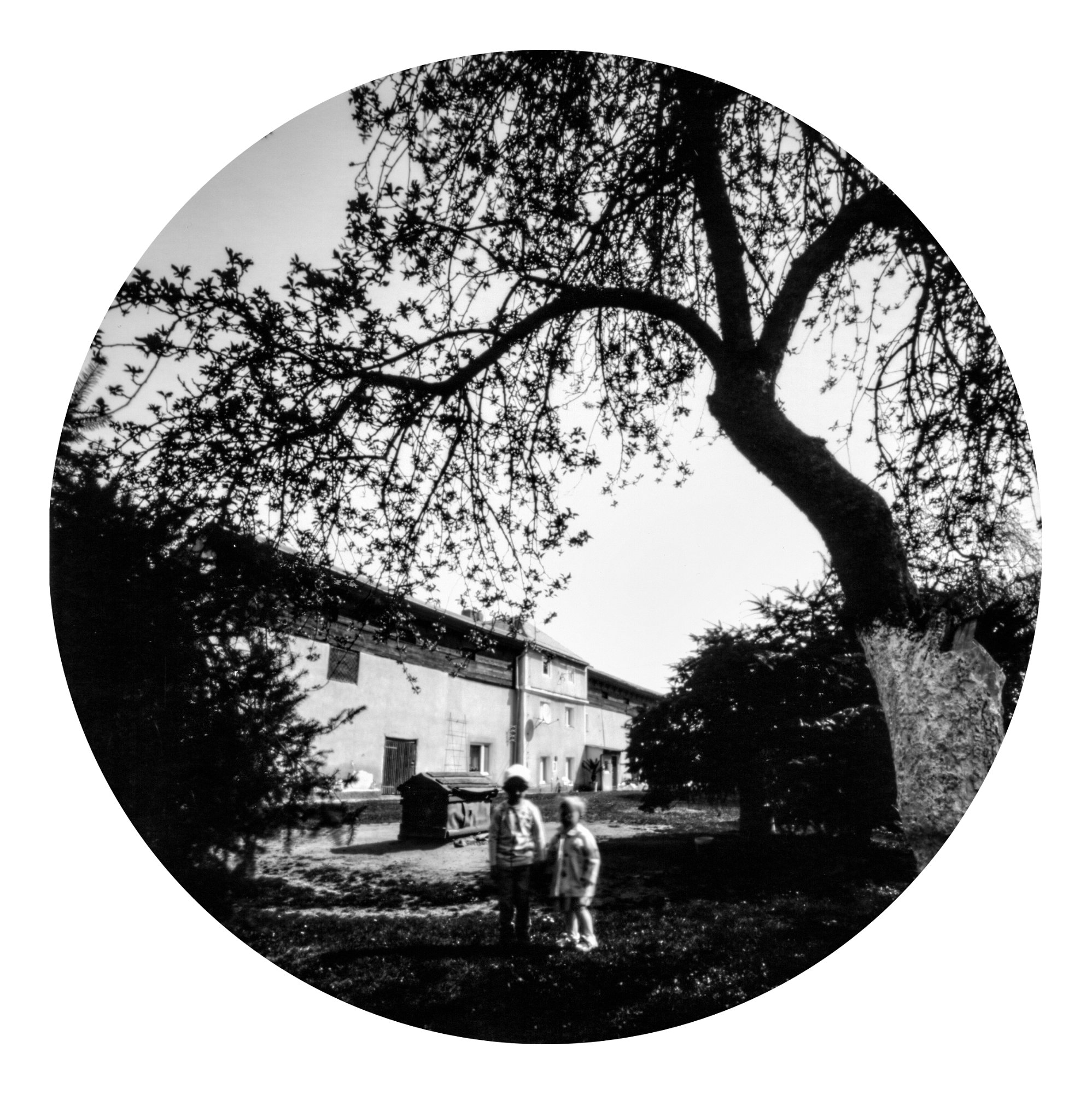 Fotografia otworkowa – Others, Obscura