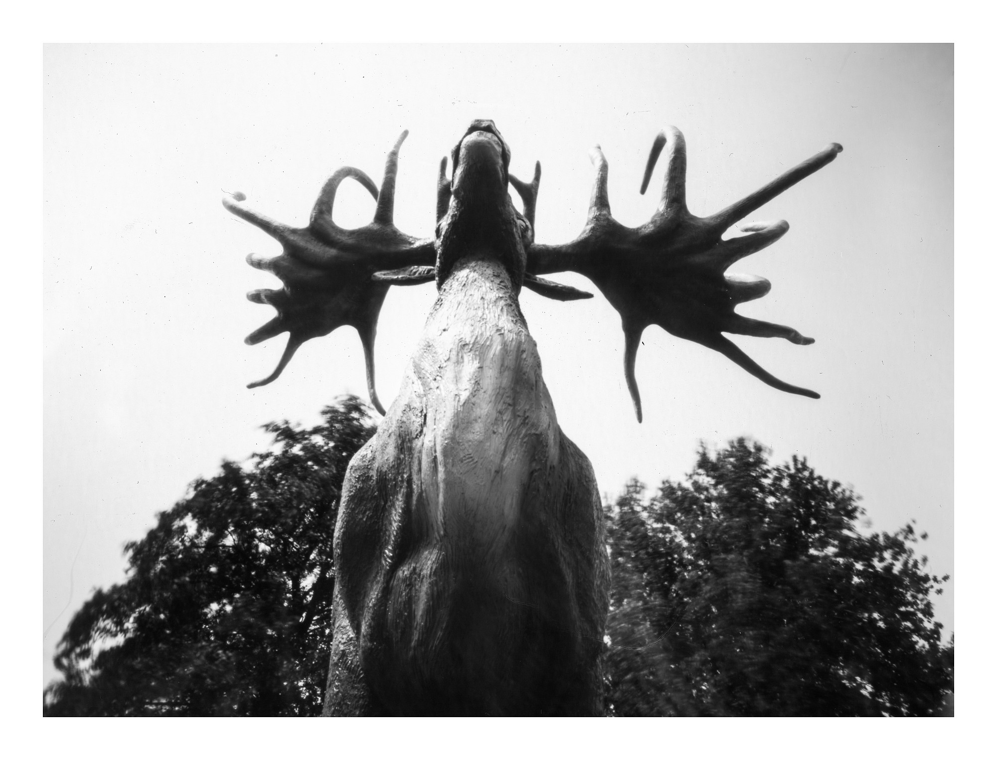Fotografia otworkowa – Others, Obscura