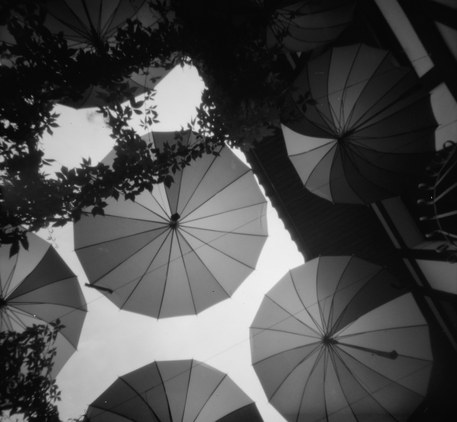 Fotografia otworkowa – Others, Obscura