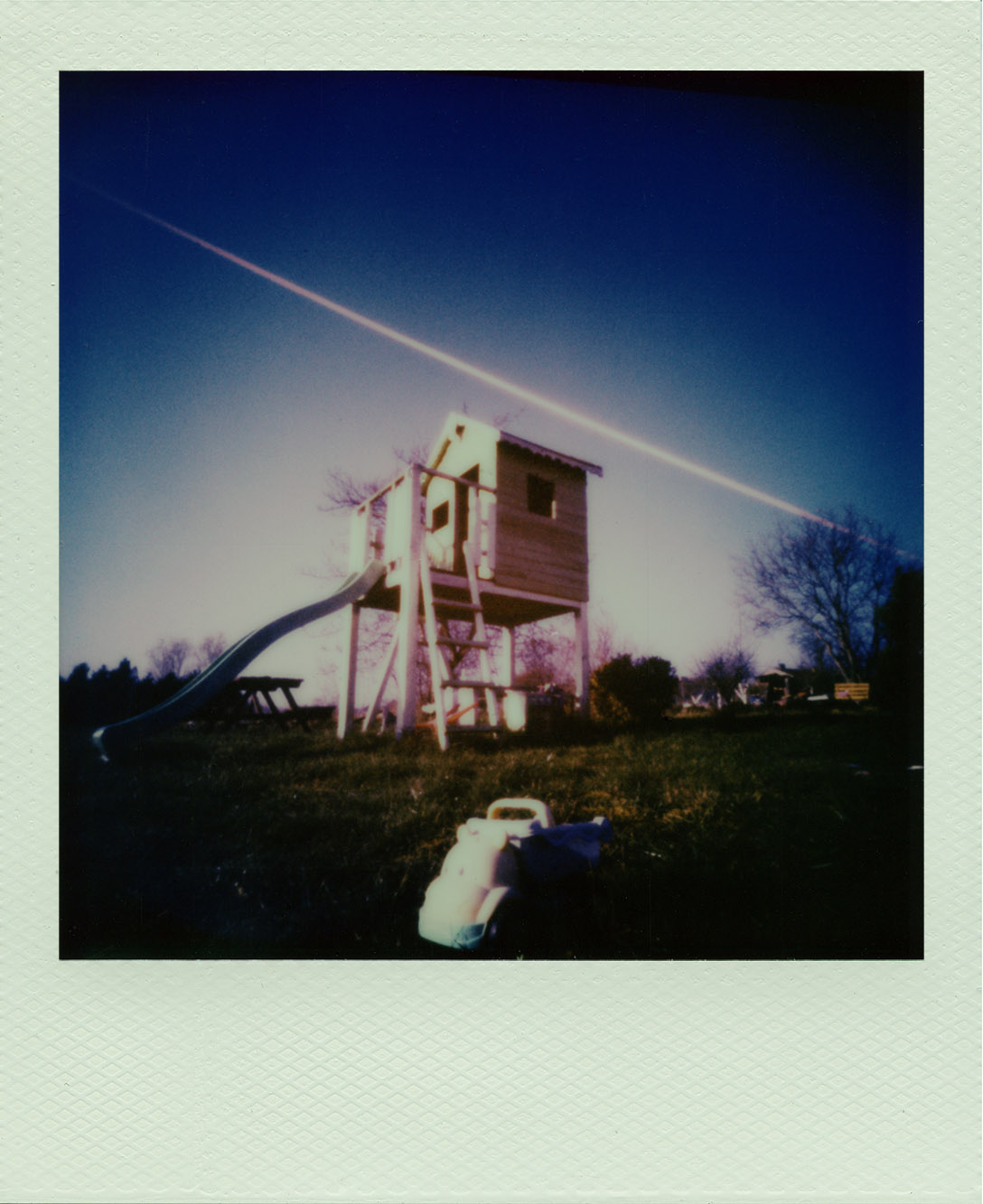 Polaroid