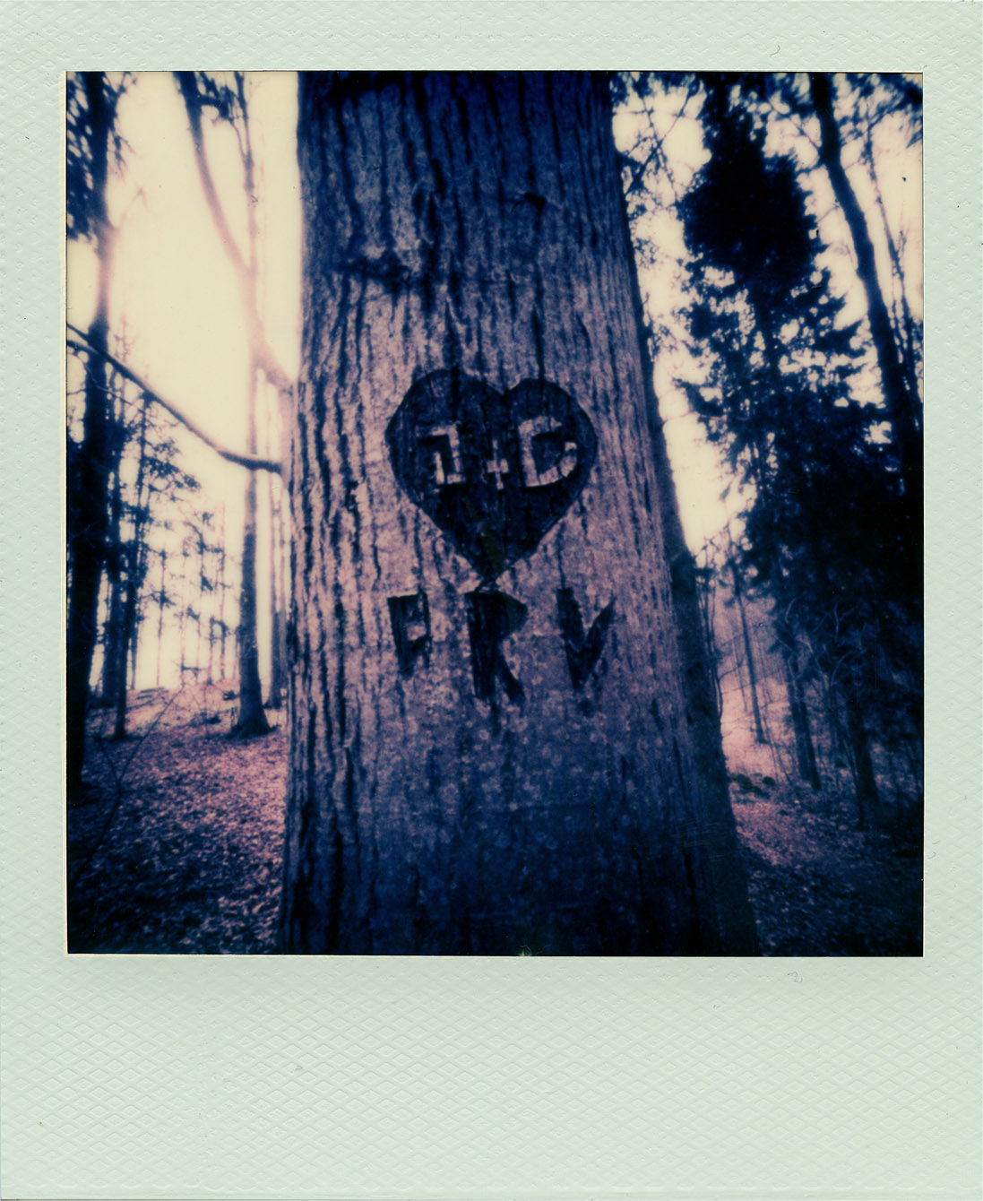 Fotografia otworkowa – Polaroid, Obscura