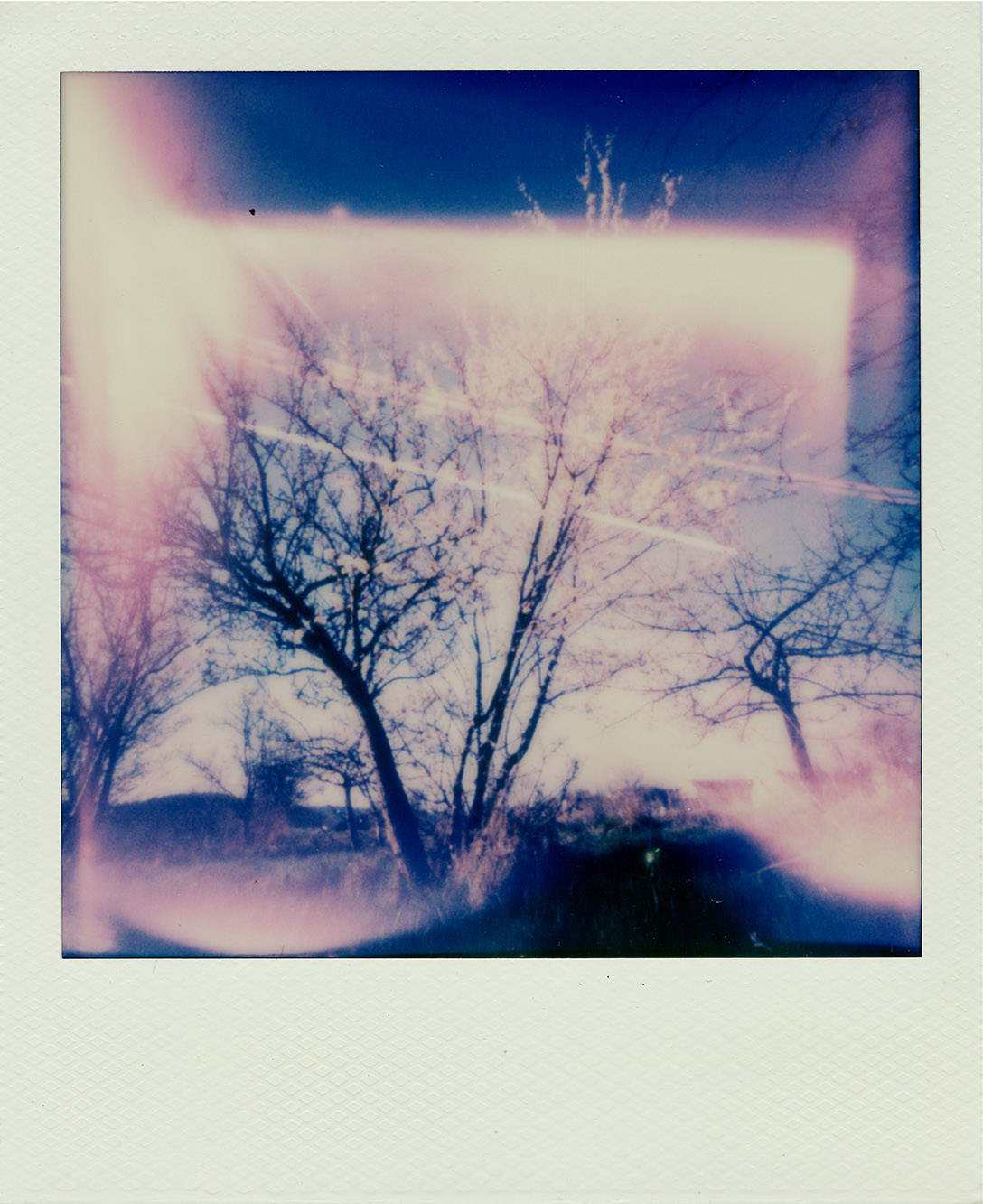 Fotografia otworkowa – Polaroid, Obscura