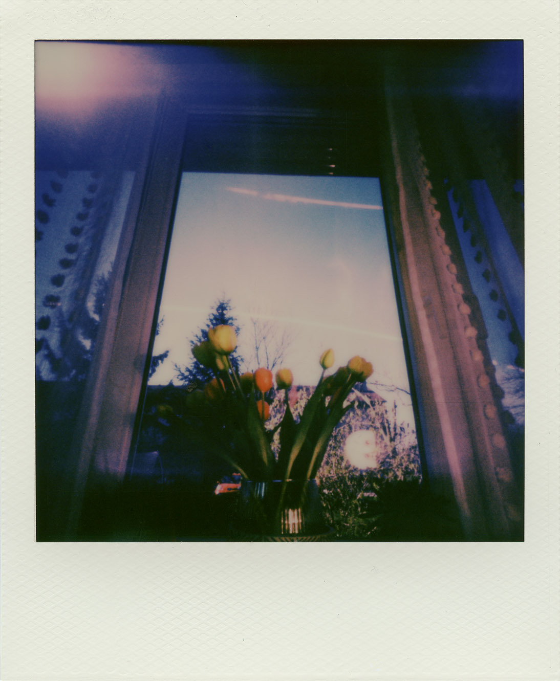 Fotografia otworkowa – Polaroid, Obscura