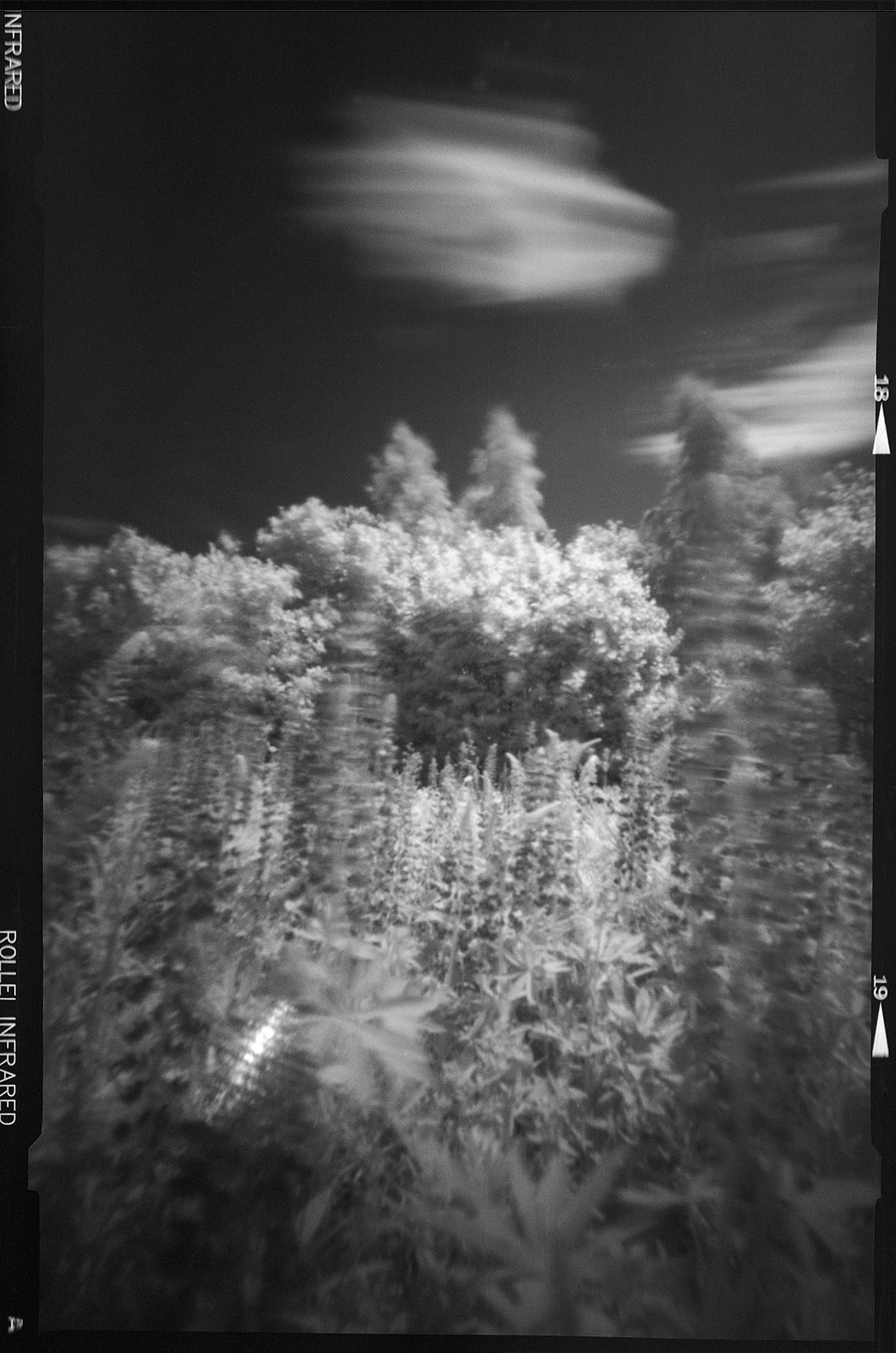 Fotografia otworkowa – Vermeercamera, Obscura