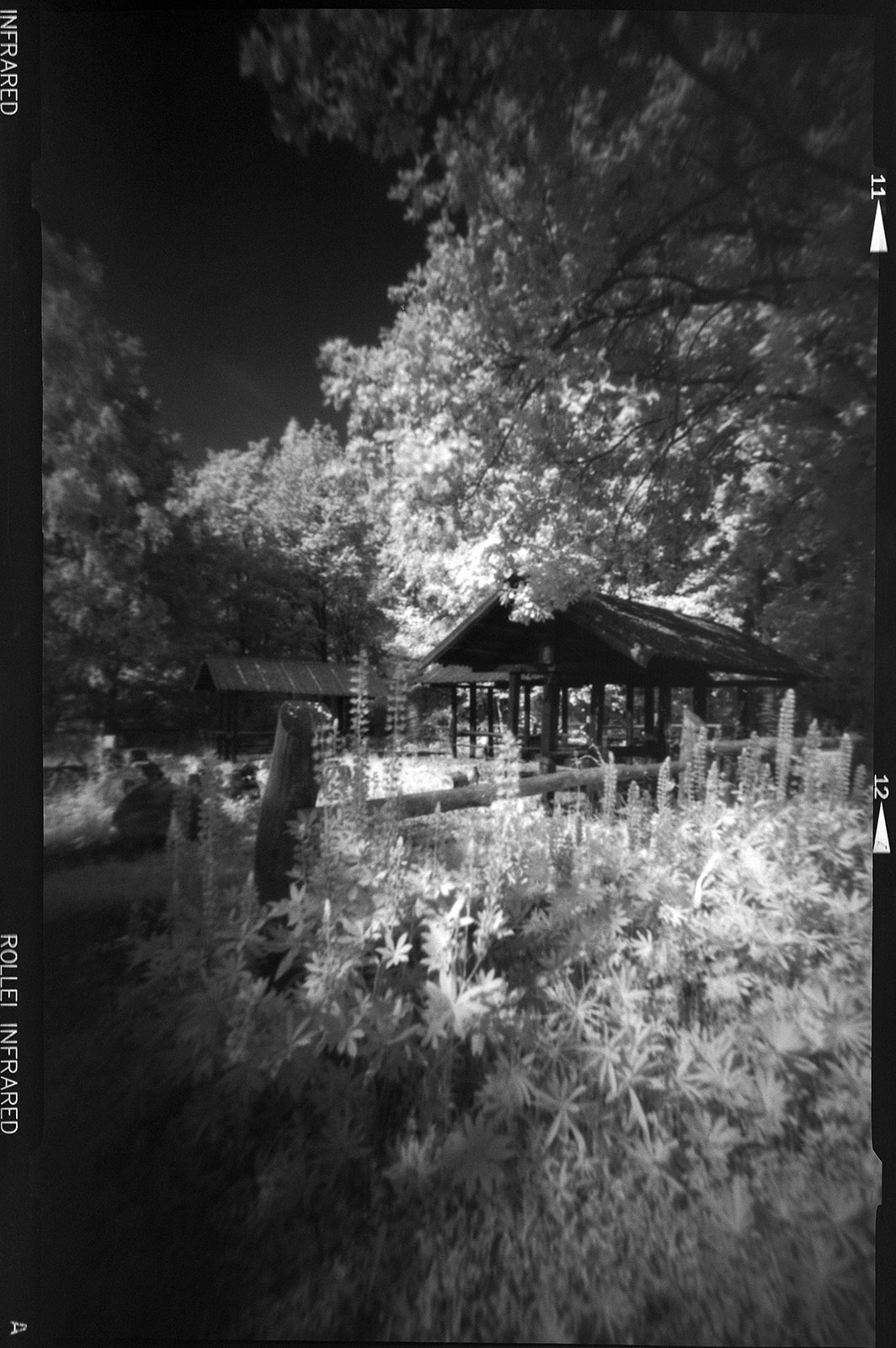 Fotografia otworkowa – Vermeercamera, Obscura