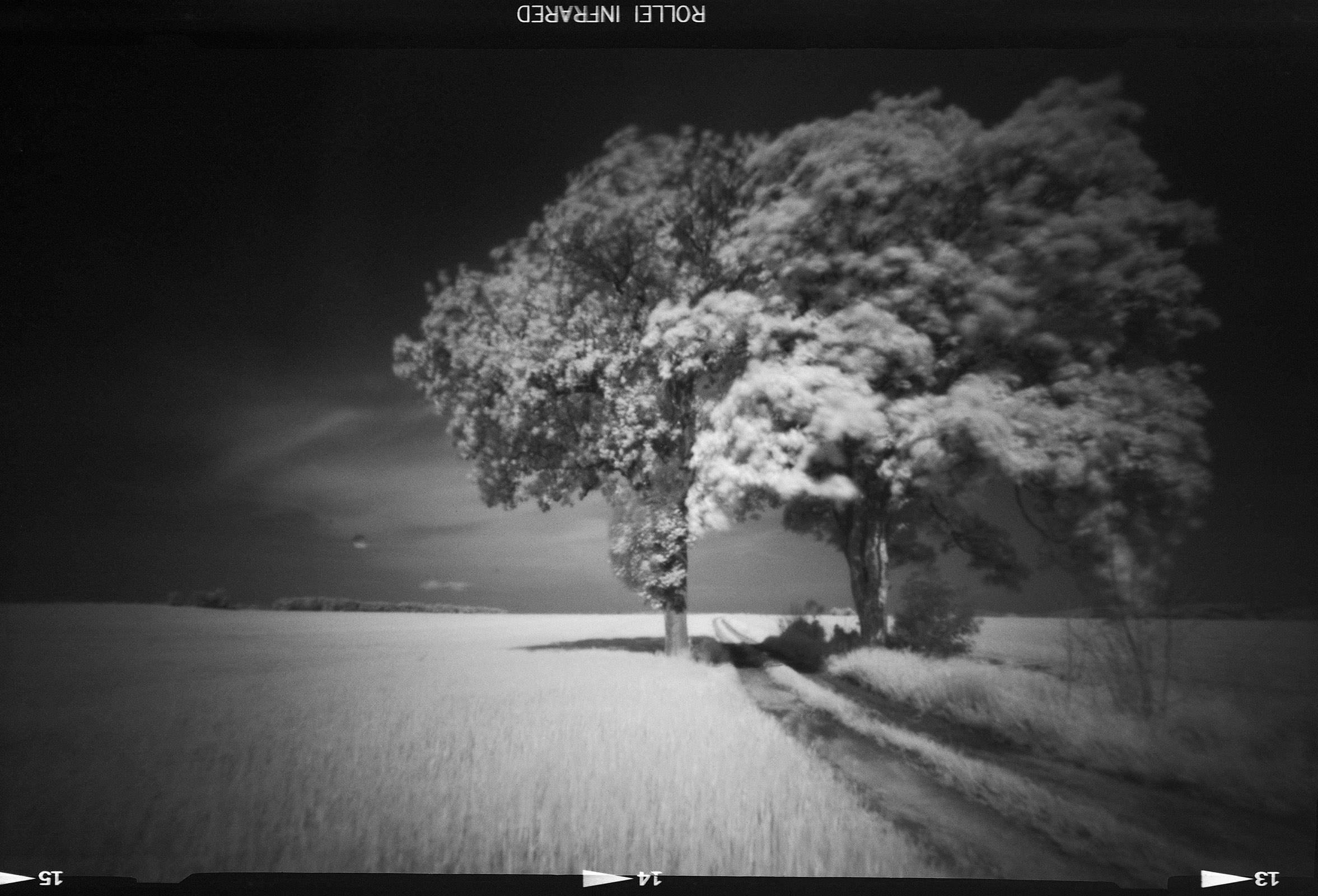 Fotografia otworkowa – Vermeercamera, Obscura