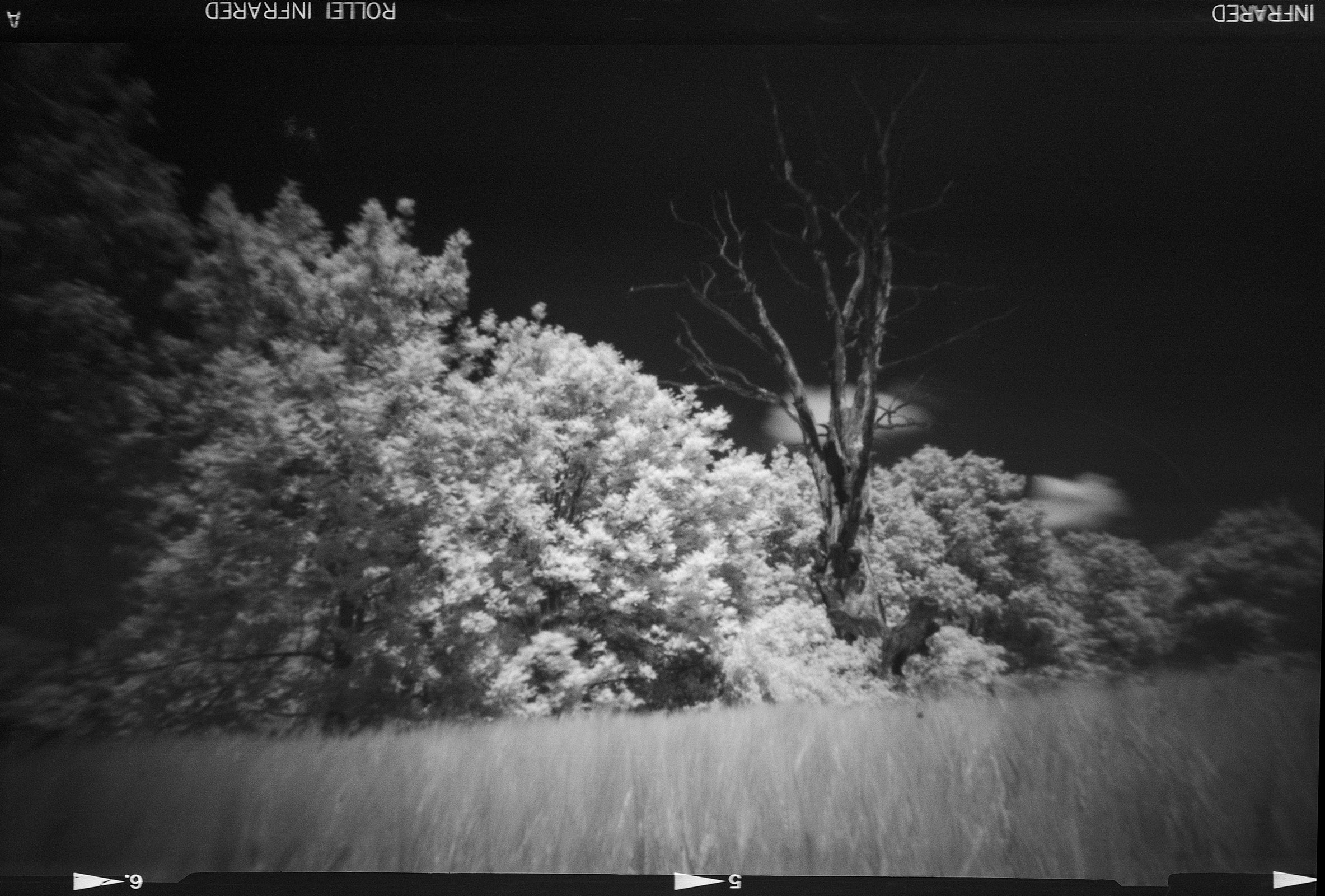 Fotografia otworkowa – Vermeercamera, Obscura