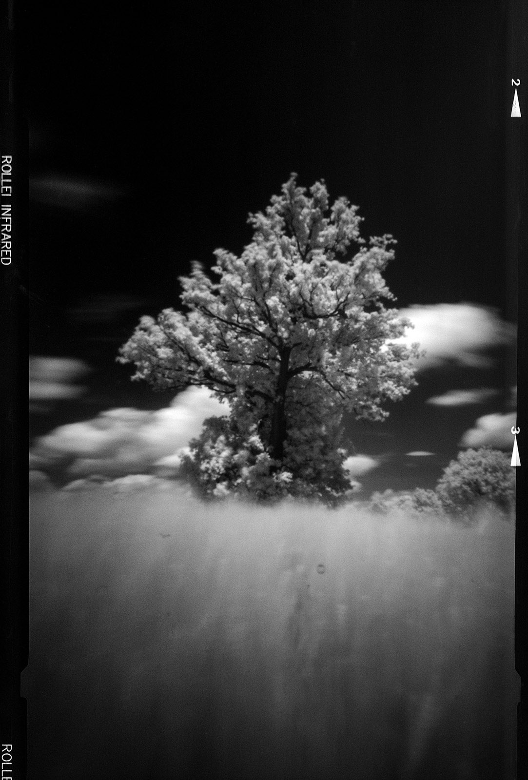 Fotografia otworkowa – Vermeercamera, Obscura