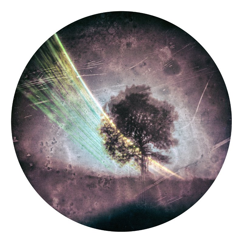 Solarigrafia – 2019
