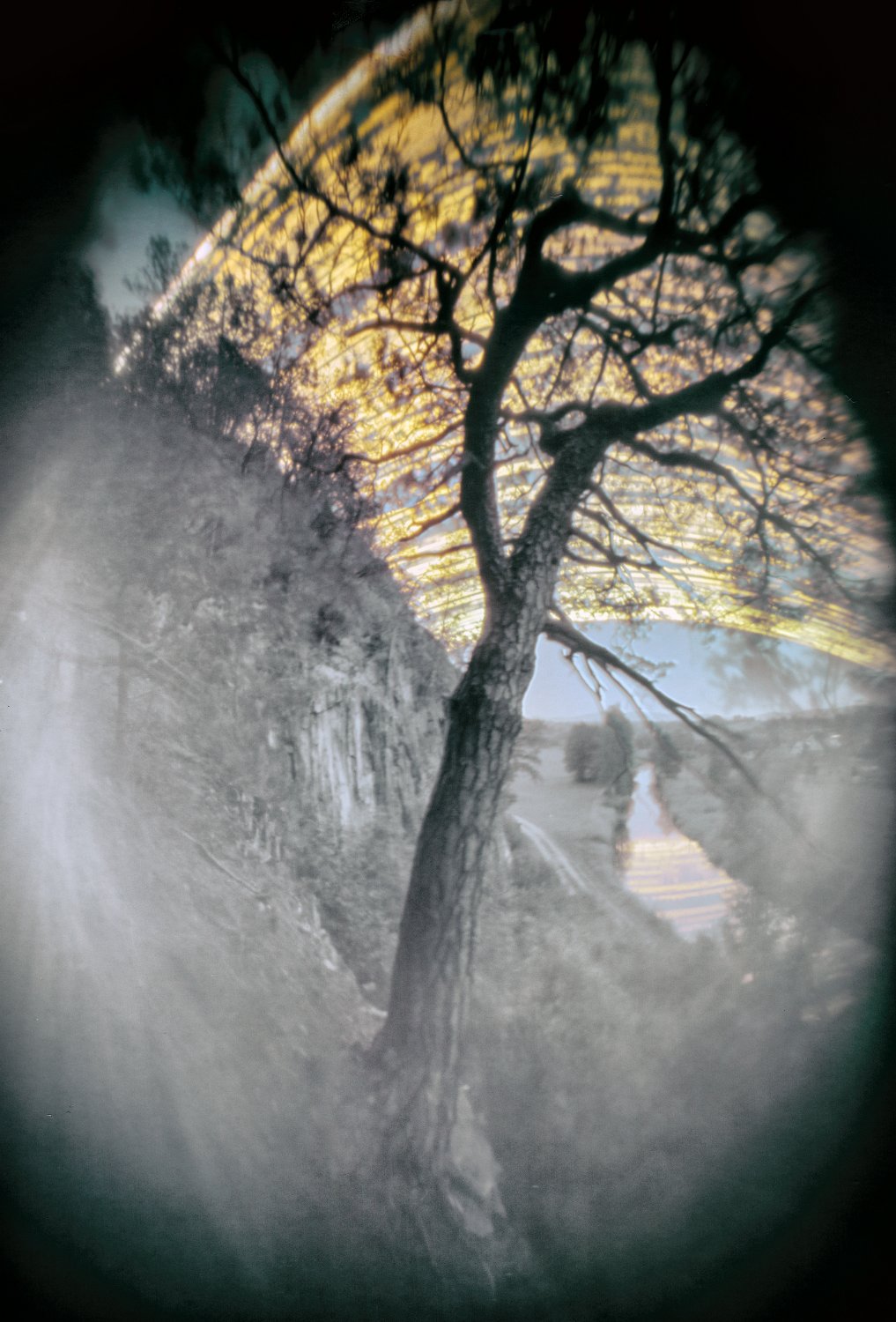 Solarigrafia – 2020
