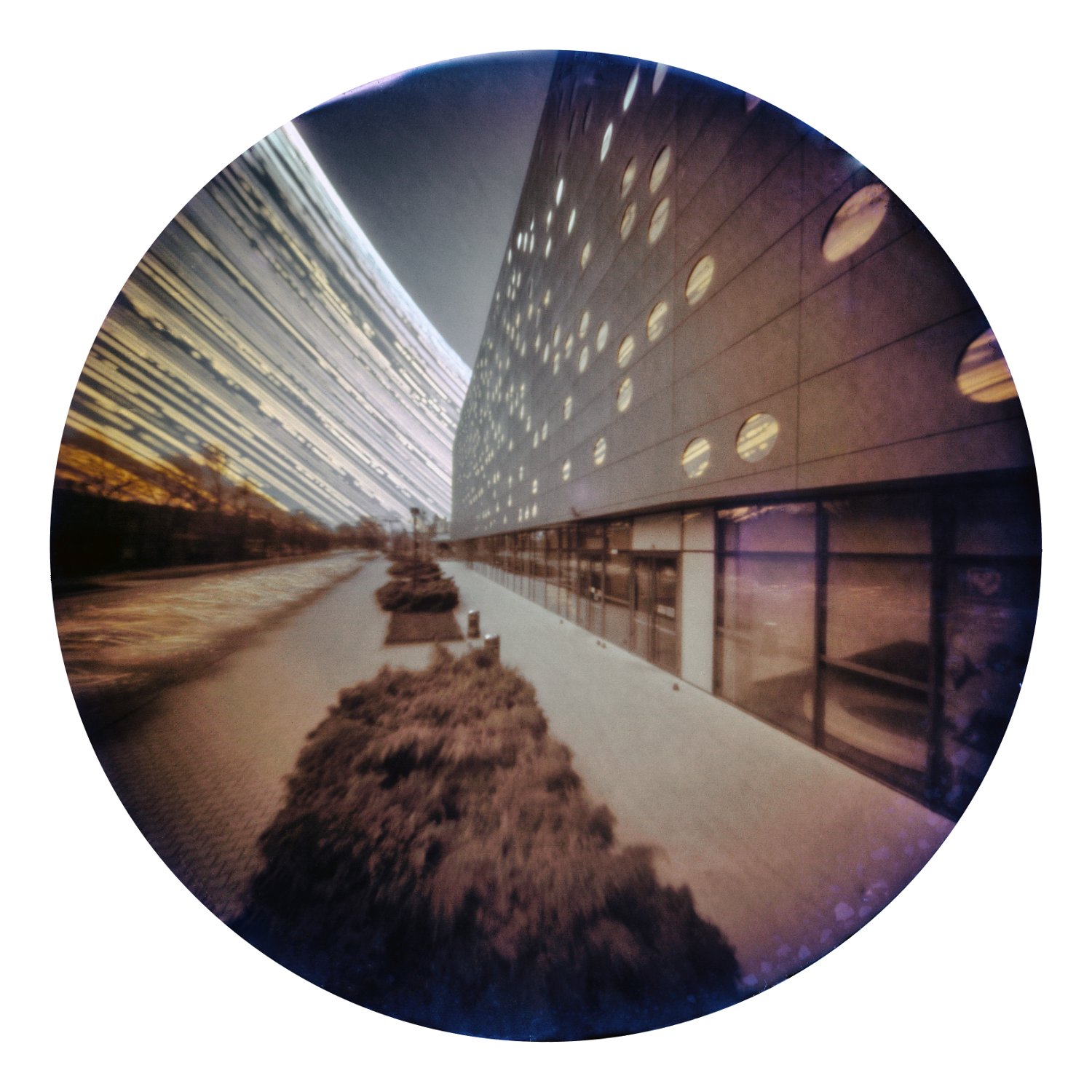 Solarigrafia – 2020