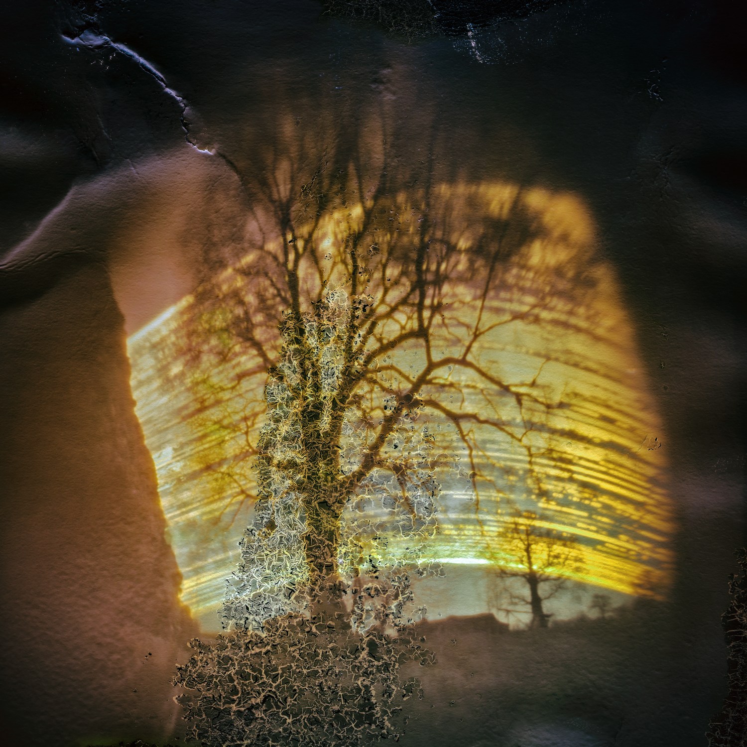 Solarigrafia – 2021