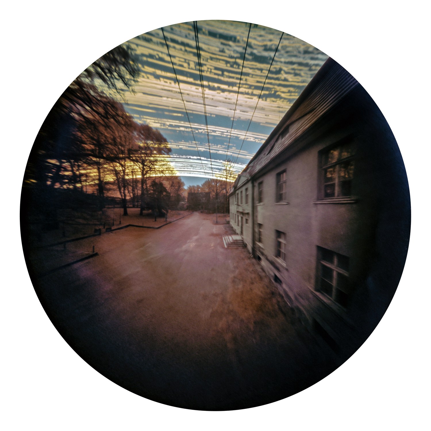 Solarigrafia – 2021