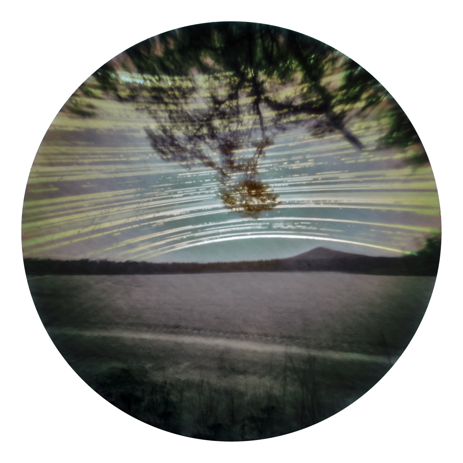 Solarigrafia – 2021