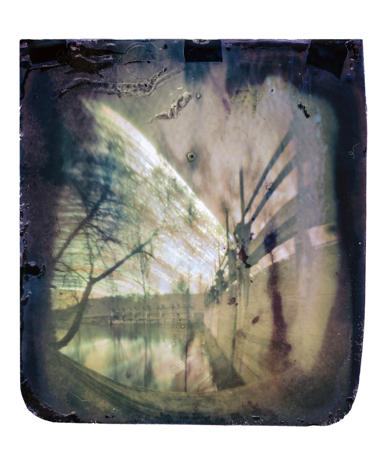 Solarigrafia – 2021