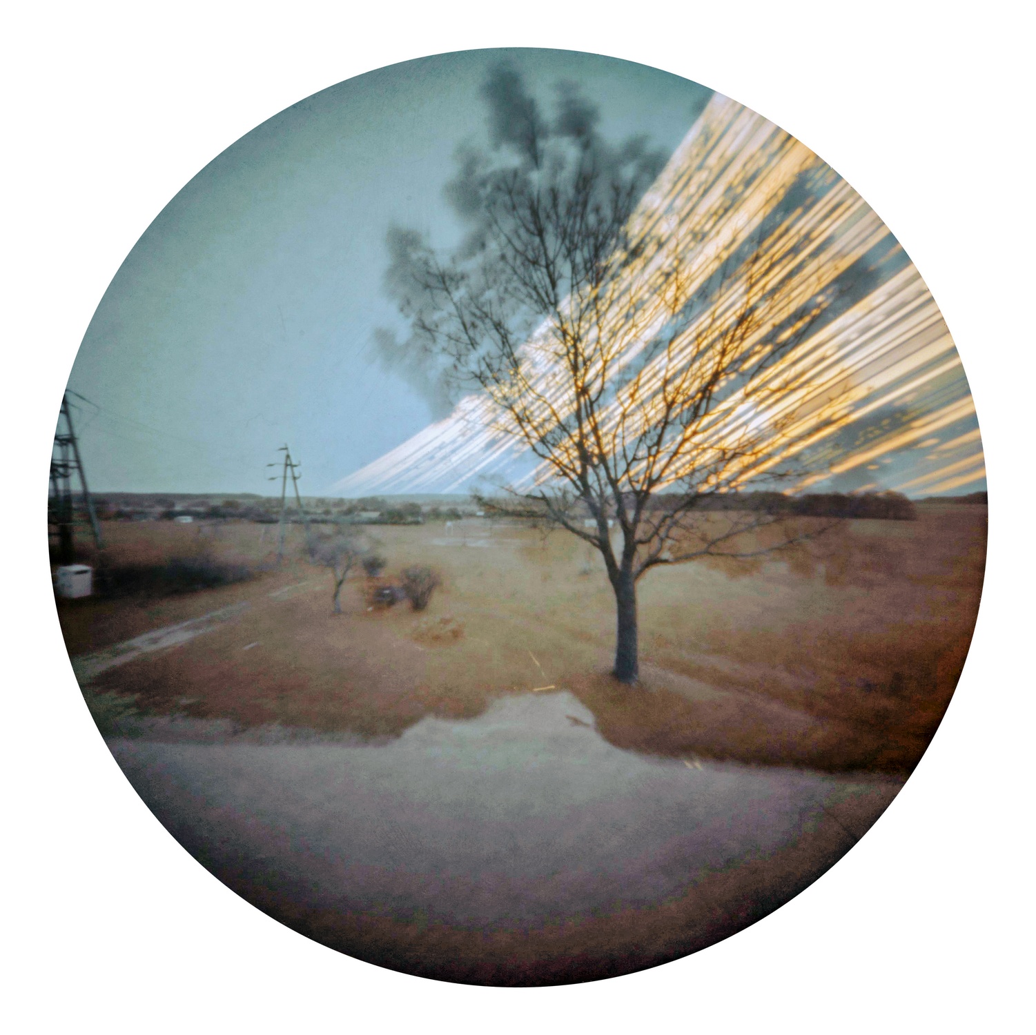 Solarigrafia – 2022