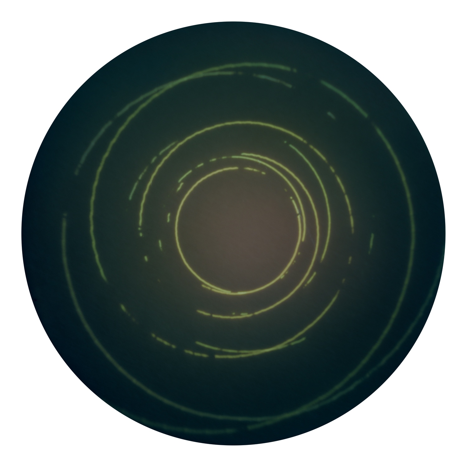 Solarigrafia – 2022