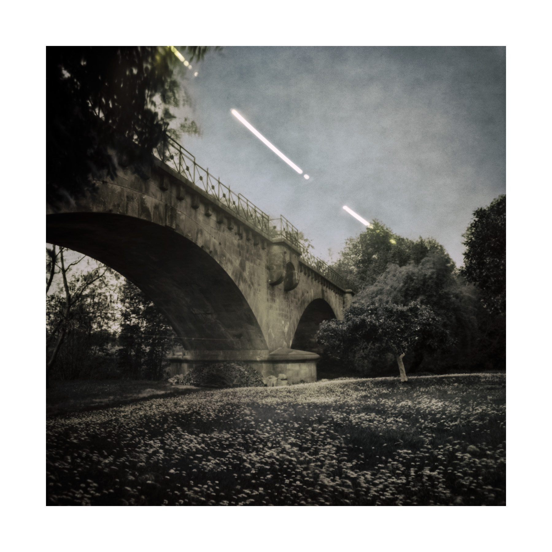 Solarigrafia – 2024