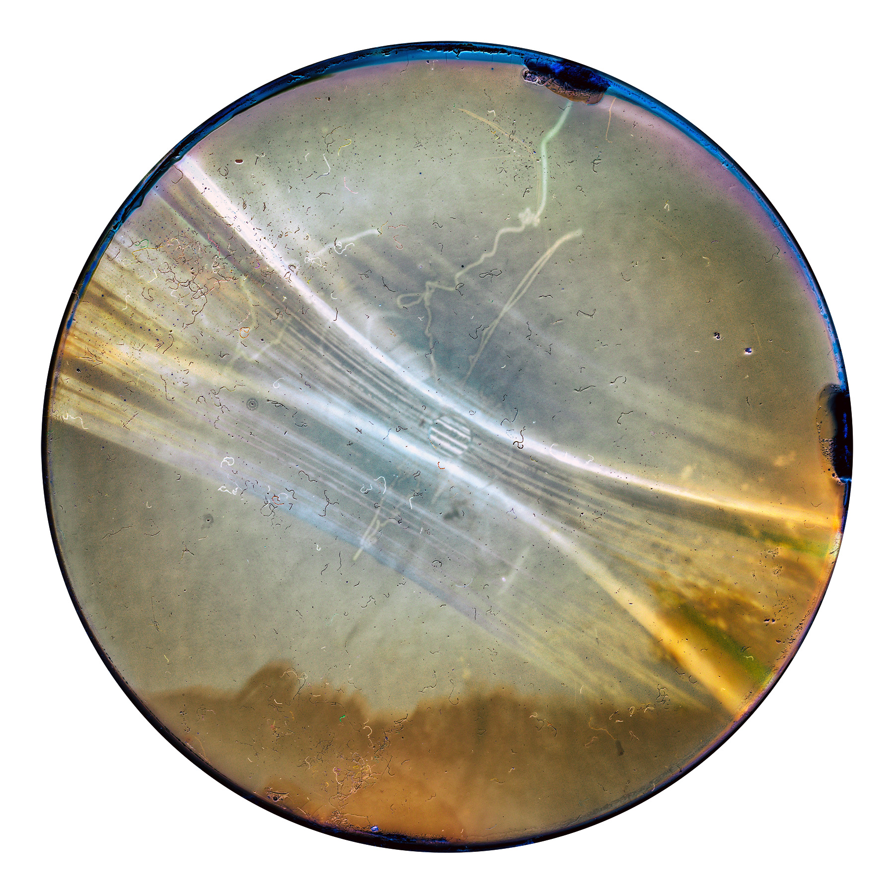 Solarigrafia – 2024