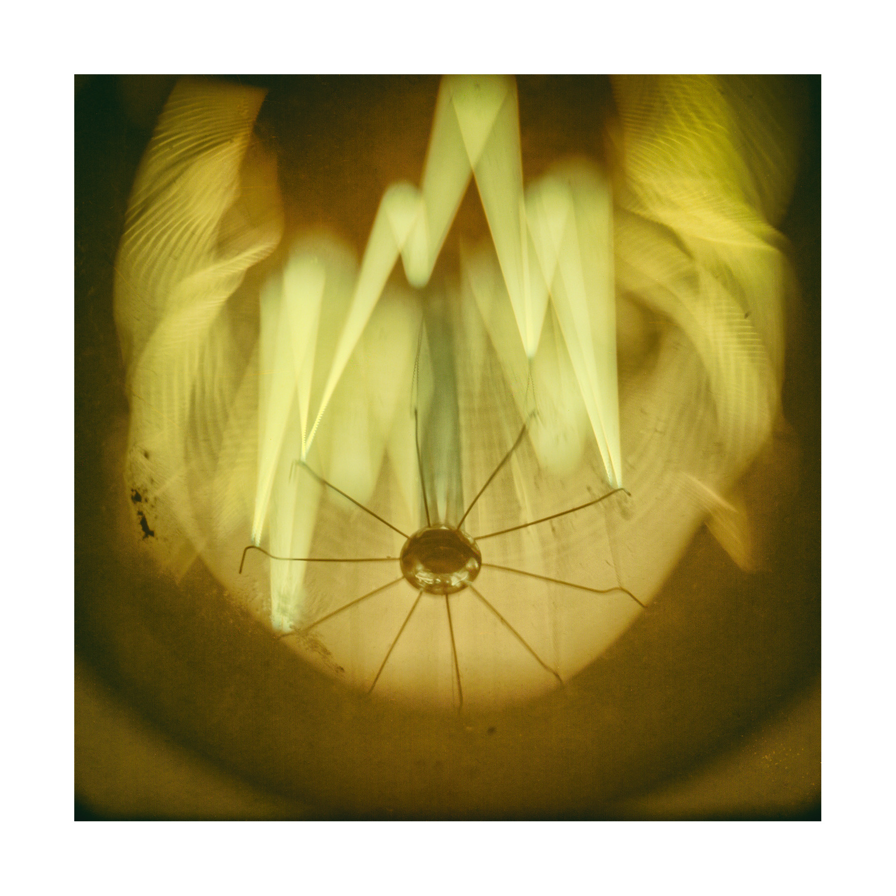 Solarigrafia – 2024