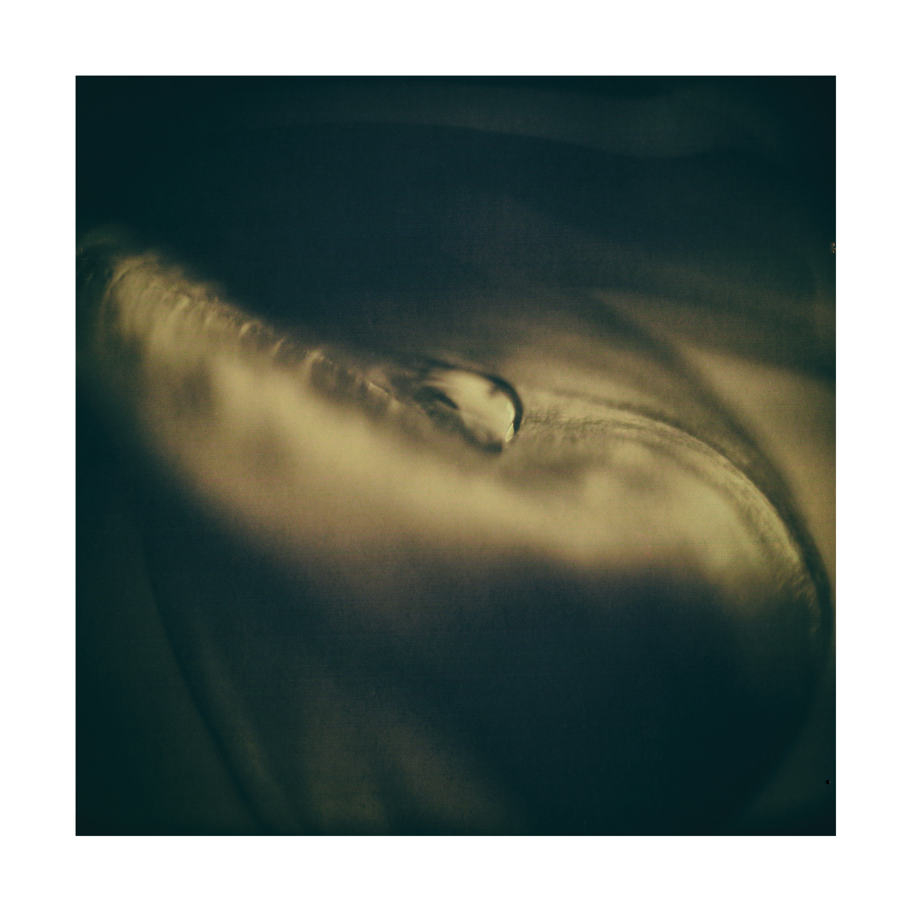 Solarigrafia – 2024