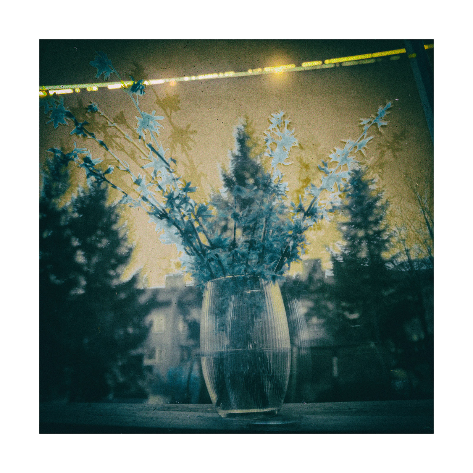 Solarigrafia – 2025