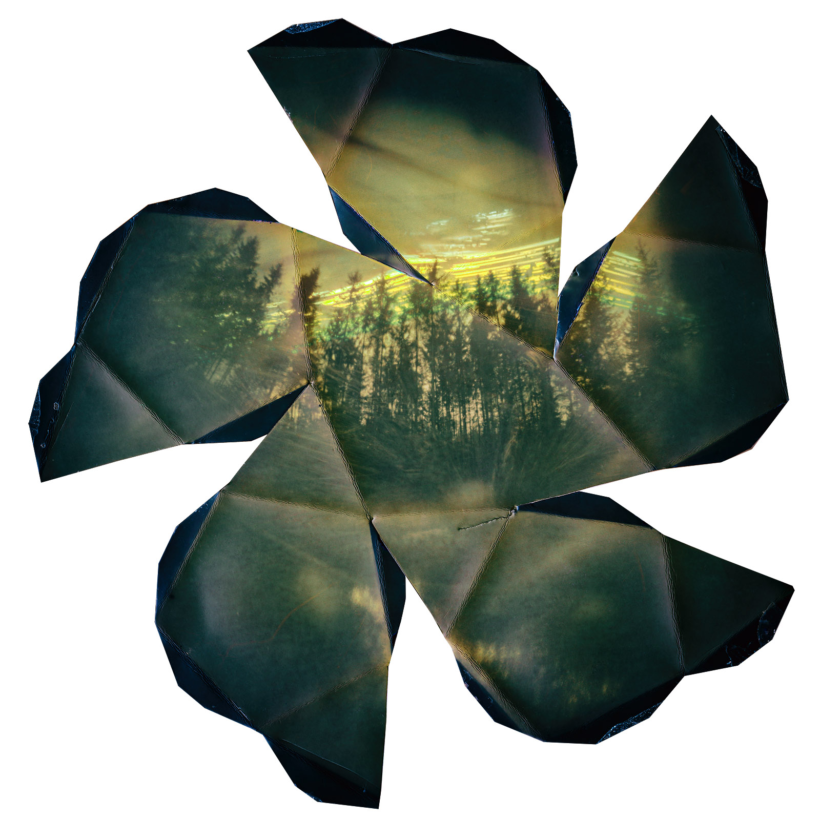 Solarigrafia – 2025