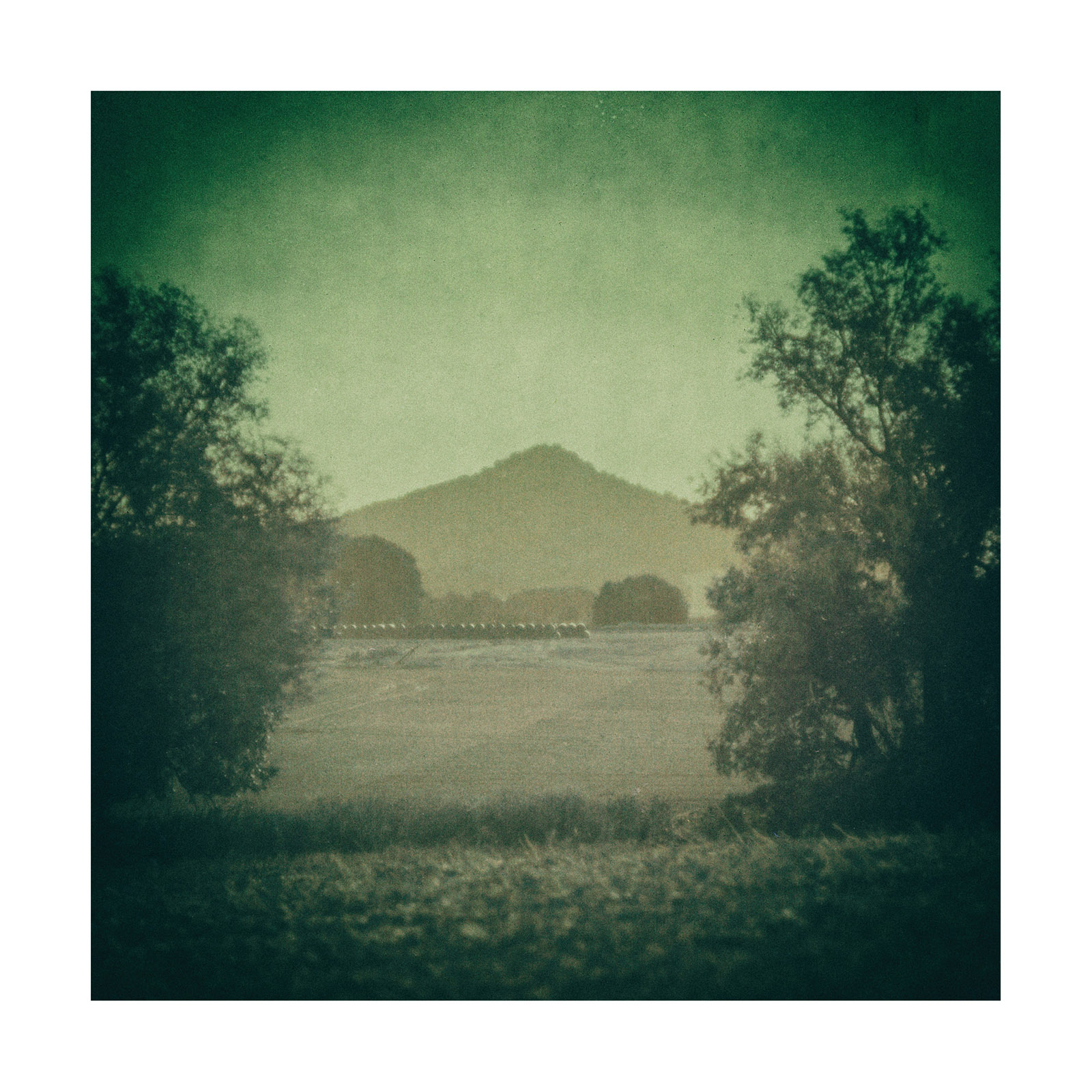 Solarigrafia – 2025